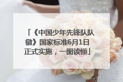 《中国少年先锋队队徽》国家标准6月1日正式实施，一图读懂