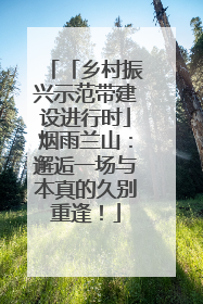 「乡村振兴示范带建设进行时」烟雨兰山：邂逅一场与本真的久别重逢！