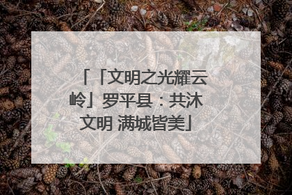 「文明之光耀云岭」罗平县：共沐文明 满城皆美