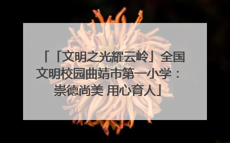 「文明之光耀云岭」全国文明校园曲靖市第一小学：崇德尚美 用心育人