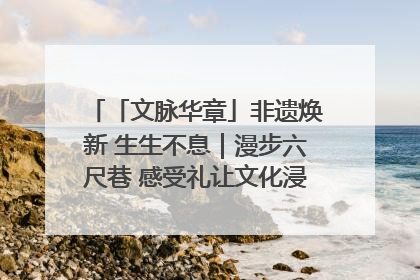 「文脉华章」非遗焕新 生生不息｜漫步六尺巷 感受礼让文化浸润的“巷”往生活