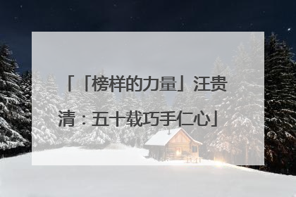 「榜样的力量」汪贵清：五十载巧手仁心