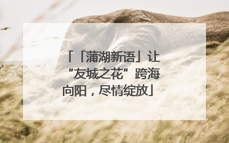 「蒲湖新语」让“友城之花”跨海向阳，尽情绽放