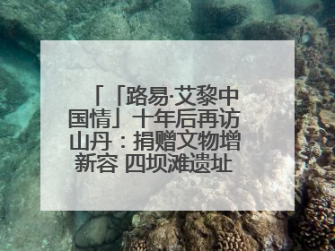 「路易·艾黎中国情」十年后再访山丹：捐赠文物增新容 四坝滩遗址诉说历史沧桑