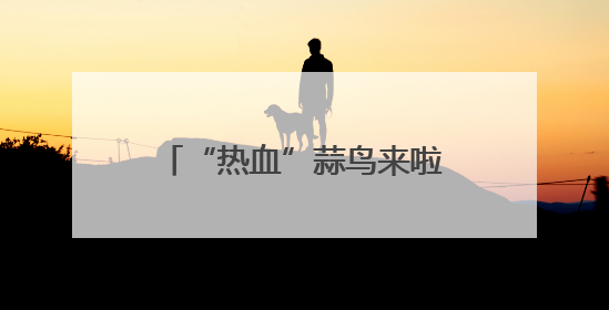 “热血”蒜鸟来啦！迎接世界献血者日，武汉用顶流IP致敬热血英雄