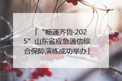 “畅通齐鲁·2025”山东省应急通信综合保障演练成功举办
