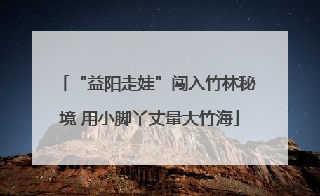 “益阳走娃”闯入竹林秘境 用小脚丫丈量大竹海
