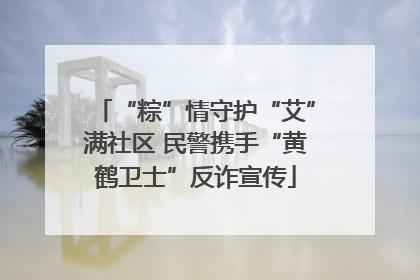 “粽”情守护“艾”满社区 民警携手“黄鹤卫士”反诈宣传