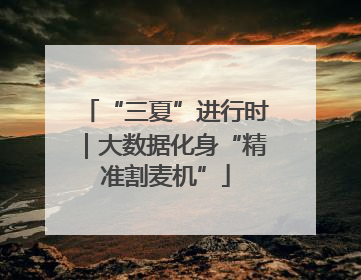 “三夏”进行时｜大数据化身“精准割麦机”