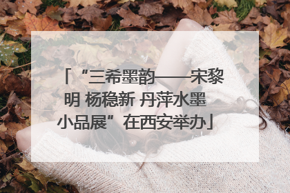“三希墨韵——宋黎明 杨稳新 丹萍水墨小品展”在西安举办