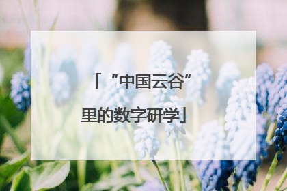 “中国云谷”里的数字研学