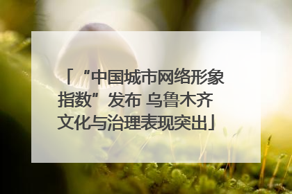 “中国城市网络形象指数”发布 乌鲁木齐文化与治理表现突出