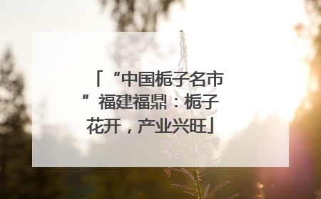 “中国栀子名市”福建福鼎：栀子花开，产业兴旺