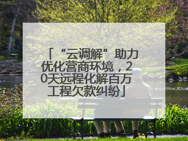 “云调解”助力优化营商环境，20天远程化解百万工程欠款纠纷