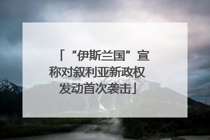 “伊斯兰国”宣称对叙利亚新政权发动首次袭击