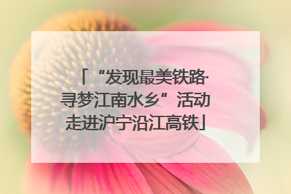 “发现最美铁路·寻梦江南水乡”活动走进沪宁沿江高铁