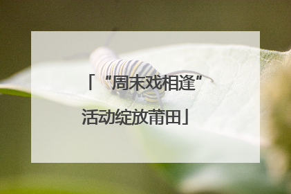 “周末戏相逢”活动绽放莆田