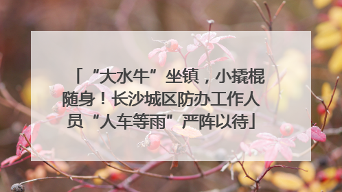 “大水牛”坐镇，小撬棍随身！长沙城区防办工作人员“人车等雨”严阵以待