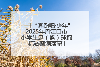 “奔跑吧·少年”2025年丹江口市小学生足（篮）球锦标赛圆满落幕