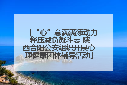 “心”意满满添动力 释压减负凝斗志 陕西合阳公安组织开展心理健康团体辅导活动