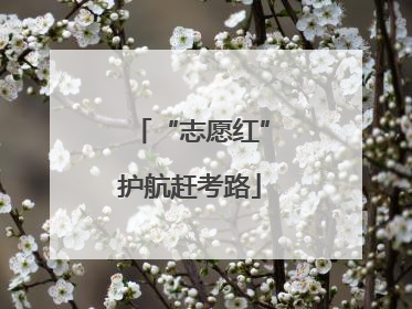 “志愿红”护航赶考路