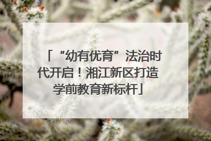 “幼有优育”法治时代开启！湘江新区打造学前教育新标杆