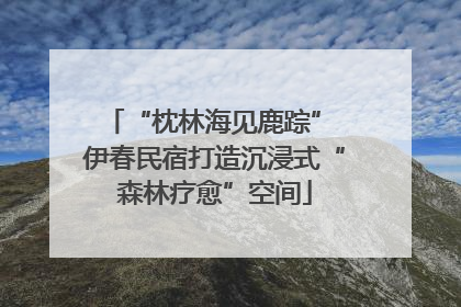 “枕林海见鹿踪” 伊春民宿打造沉浸式“森林疗愈”空间