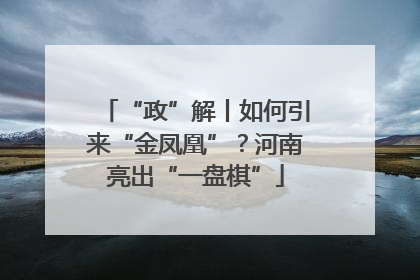“政”解丨如何引来“金凤凰”？河南亮出“一盘棋”