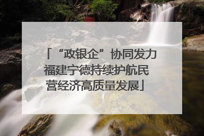 “政银企”协同发力 福建宁德持续护航民营经济高质量发展