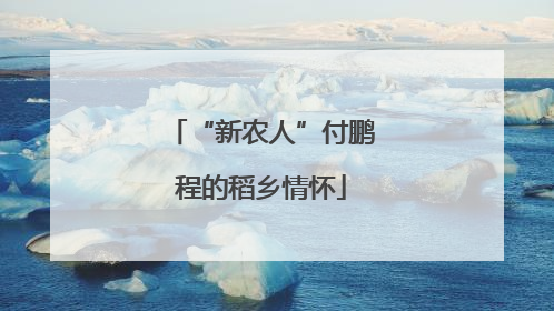 “新农人”付鹏程的稻乡情怀