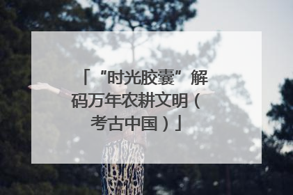 “时光胶囊”解码万年农耕文明（考古中国）