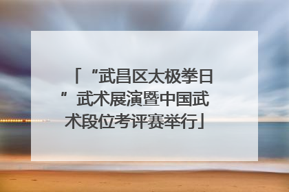 “武昌区太极拳日”武术展演暨中国武术段位考评赛举行