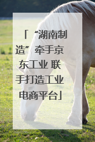 “湖南制造”牵手京东工业 联手打造工业电商平台