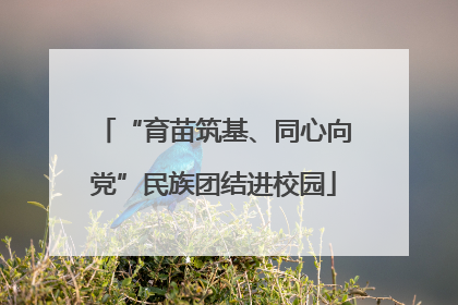 “育苗筑基、同心向党”民族团结进校园