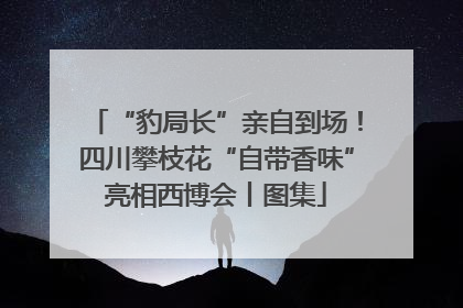 “豹局长”亲自到场！四川攀枝花“自带香味”亮相西博会丨图集