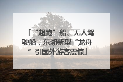 “超跑”船、无人驾驶船，东湖新型“龙舟”引国外游客震惊