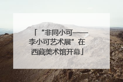 “非同小可——李小可艺术展”在西藏美术馆开幕