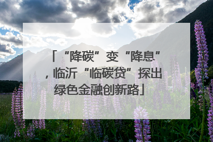 “降碳”变“降息”，临沂“临碳贷”探出绿色金融创新路