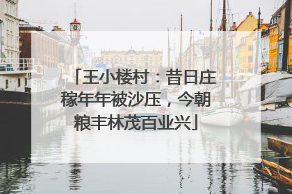 王小楼村：昔日庄稼年年被沙压，今朝粮丰林茂百业兴
