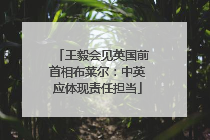 王毅会见英国前首相布莱尔：中英应体现责任担当
