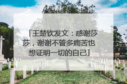 王楚钦发文：感谢莎莎，谢谢不管多痛苦也想证明一切的自己
