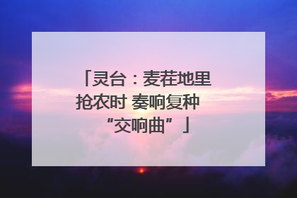 灵台：麦茬地里抢农时 奏响复种“交响曲”