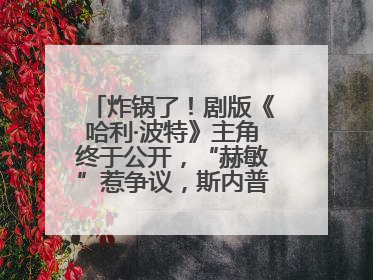 炸锅了！剧版《哈利·波特》主角终于公开，“赫敏”惹争议，斯内普变黑人……