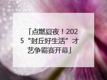 点燃夏夜！2025“封丘好生活”才艺争霸赛开幕