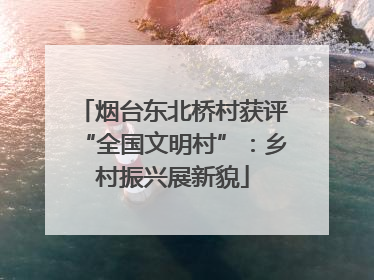 烟台东北桥村获评“全国文明村”：乡村振兴展新貌