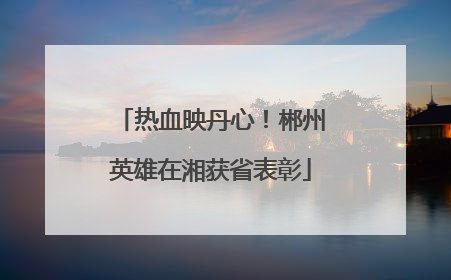 热血映丹心！郴州英雄在湘获省表彰
