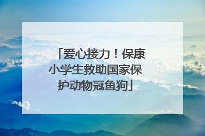 爱心接力！保康小学生救助国家保护动物冠鱼狗