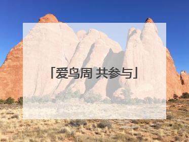 爱鸟周 共参与
