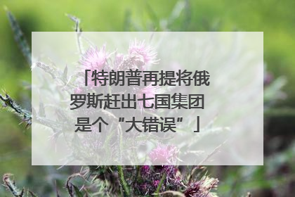 特朗普再提将俄罗斯赶出七国集团是个“大错误”