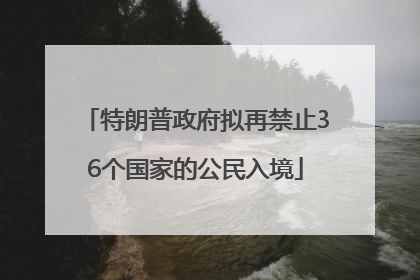 特朗普政府拟再禁止36个国家的公民入境